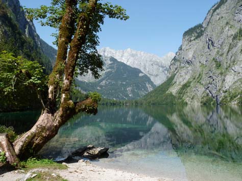 Obersee, beim Königssee, Berchtesgaden