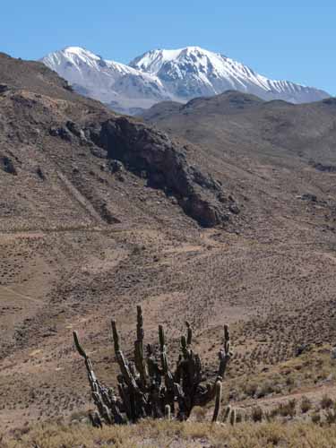 Chile Wüste Atacama