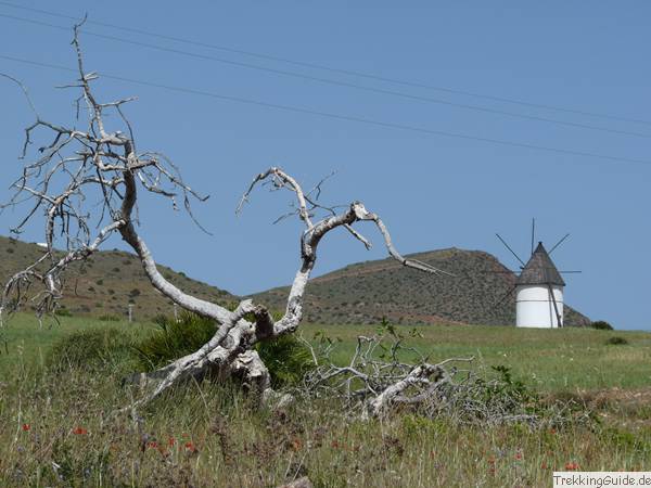 Windmühle, Cabo de Gata