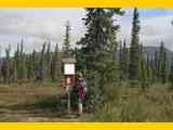 Alaska__Start_zum_Caribou_Trail__Wrangell_St_Elias_NP