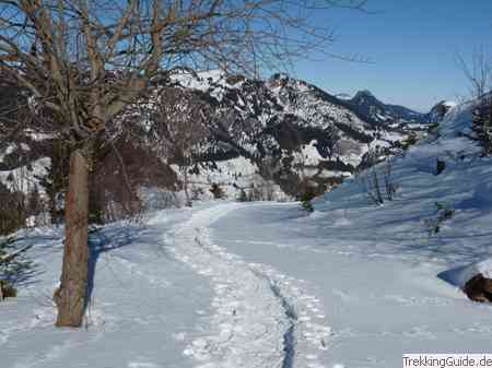 Schneeschuhtour Hornbahn Hindelang