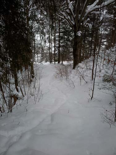allgaeu-pfronten-fuessen-winter-015