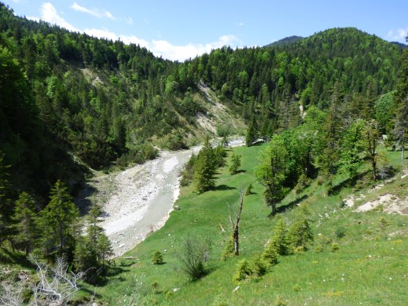 Finzbachalm bei Mittenwald