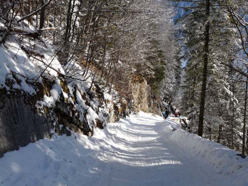 Schliersee-Spitzingsee-622
