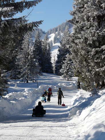 Schliersee-Spitzingsee-623