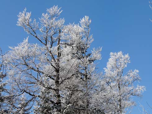 Schliersee-Spitzingsee-625