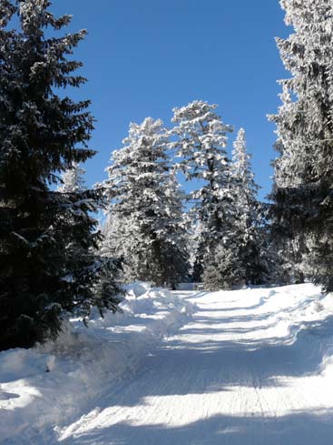 Schliersee-Spitzingsee-627