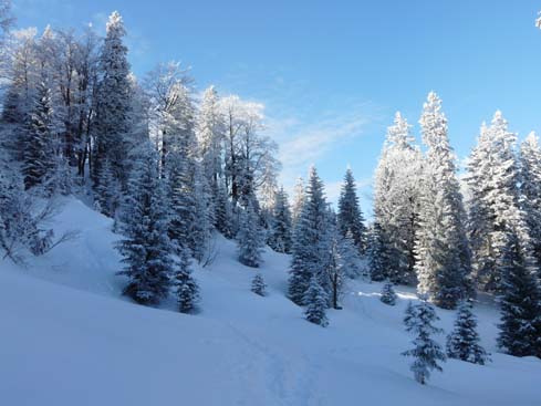 Schliersee-Spitzingsee-635