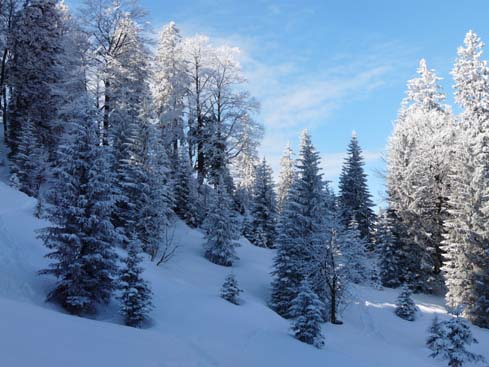 Schliersee-Spitzingsee-636