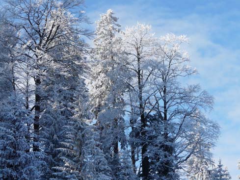 Schliersee-Spitzingsee-637