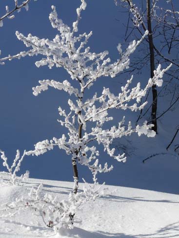 Schliersee-Spitzingsee-638