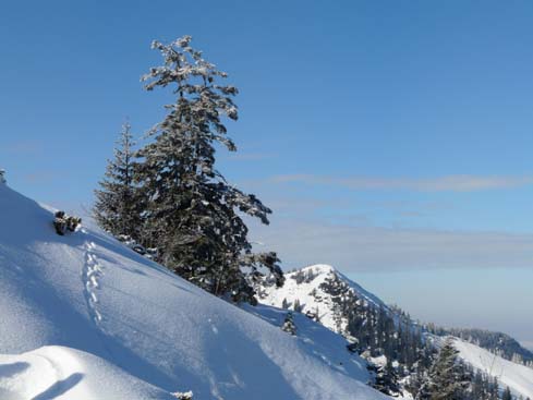 Schliersee-Spitzingsee-647