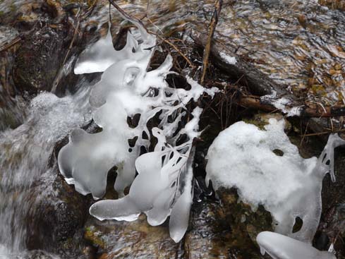 Schliersee-Spitzingsee-669