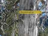 Allgaeu-Schneeschuh-Pirschling-Schoenkahler-50195