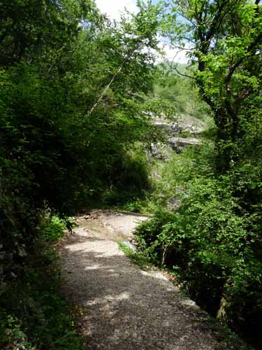 0989-Gargnano-CimaComer