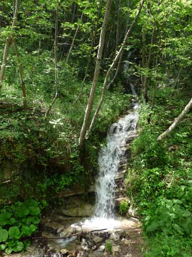 0990-Gargnano-CimaComer