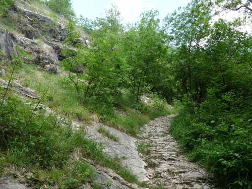 0994-Gargnano-CimaComer