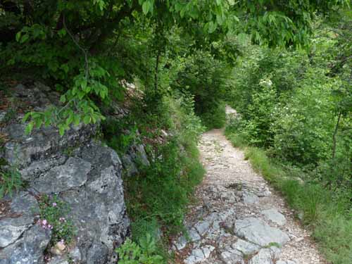 0996-Gargnano-CimaComer