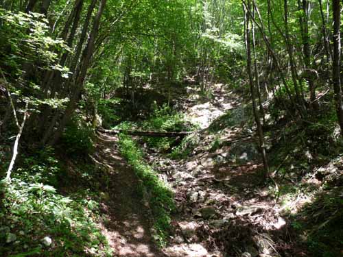 1008-Gargnano-CimaComer