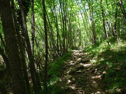 1009-Gargnano-CimaComer