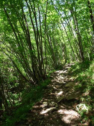 1010-Gargnano-CimaComer