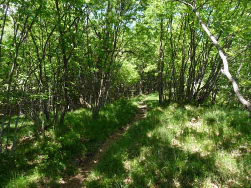 1016-Gargnano-CimaComer