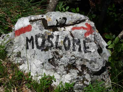 Muslone, Gardasee