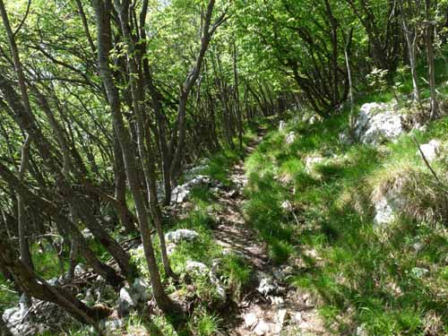 1028-Gargnano-CimaComer