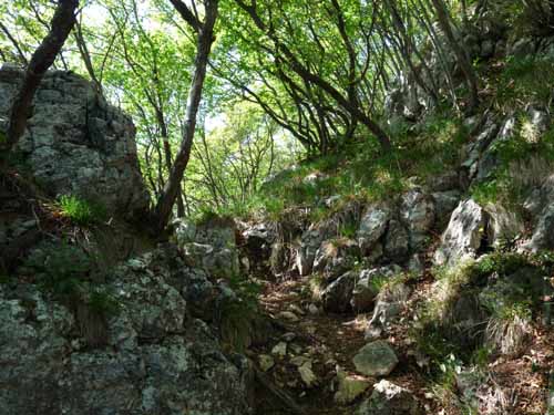 1029-Gargnano-CimaComer