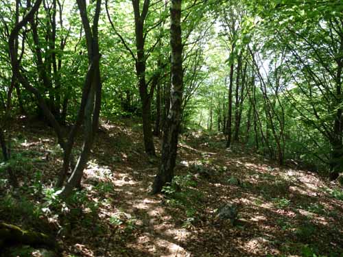 1047-Gargnano-CimaComer