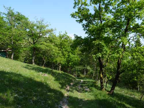 1059-Gargnano-CimaComer