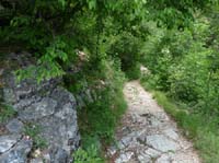 0996-Gargnano-CimaComer