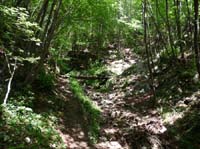 1008-Gargnano-CimaComer