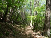 1011-Gargnano-CimaComer