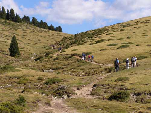 Groednertal-070908-184-Brogleshuette-Raschoetz