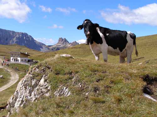 Groednertal-070908-068-Plattkofel-Runde