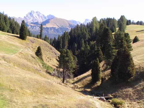 Groednertal-070908-109-Seiseralm