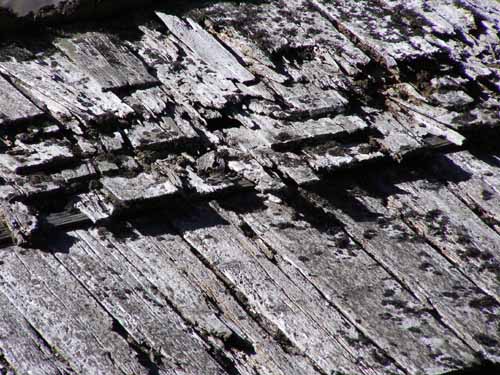 Groednertal-070908-116-Seiseralm