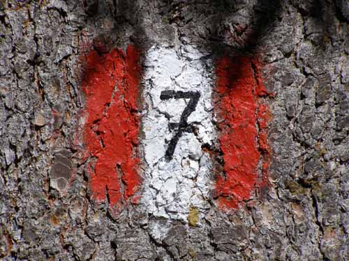 Groednertal-070908-121-Seiseralm