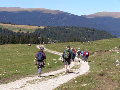 Groednertal-070908-124-Seiseralm