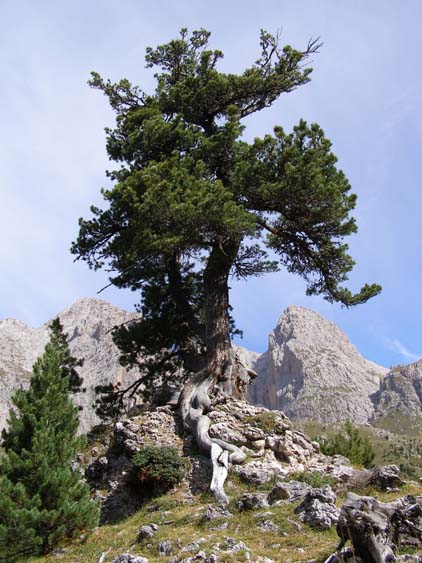 Groednertal-070908-023