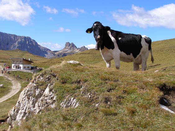 Groednertal-070908-068