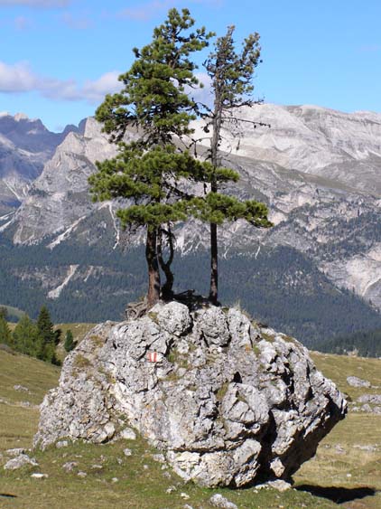 Groednertal-070908-097