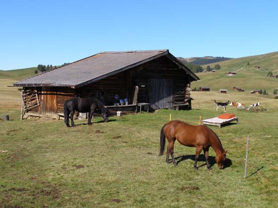 Groednertal-070908-111