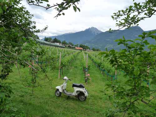 0926-Marlinger-Waalweg