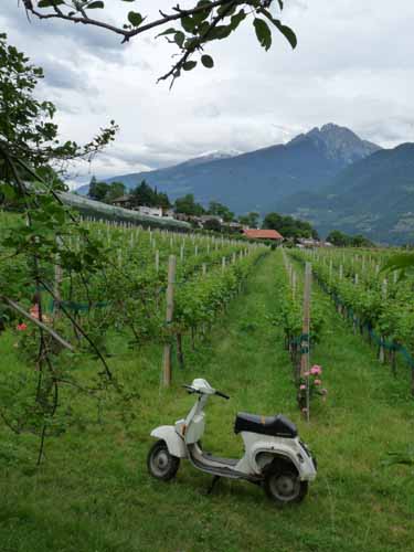 0927-Marlinger-Waalweg