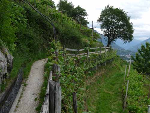 0929-Marlinger-Waalweg