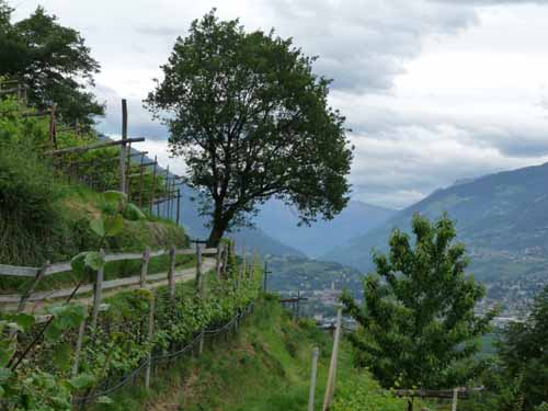 0930-Marlinger-Waalweg