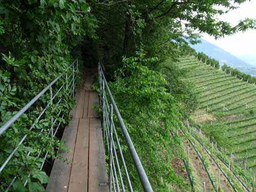 0933-Marlinger-Waalweg