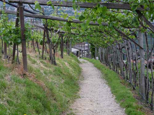 0960-Marlinger-Waalweg